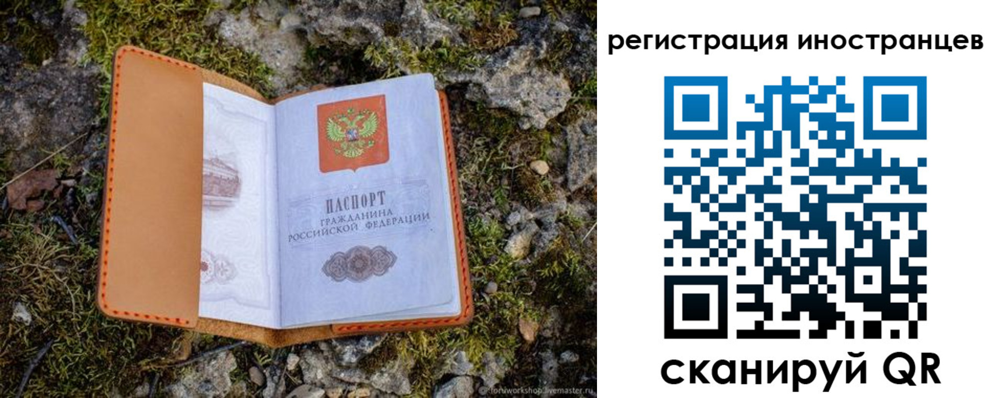 прописка паспорт в Вельске